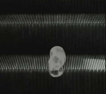 A Slinky moving down an escalator